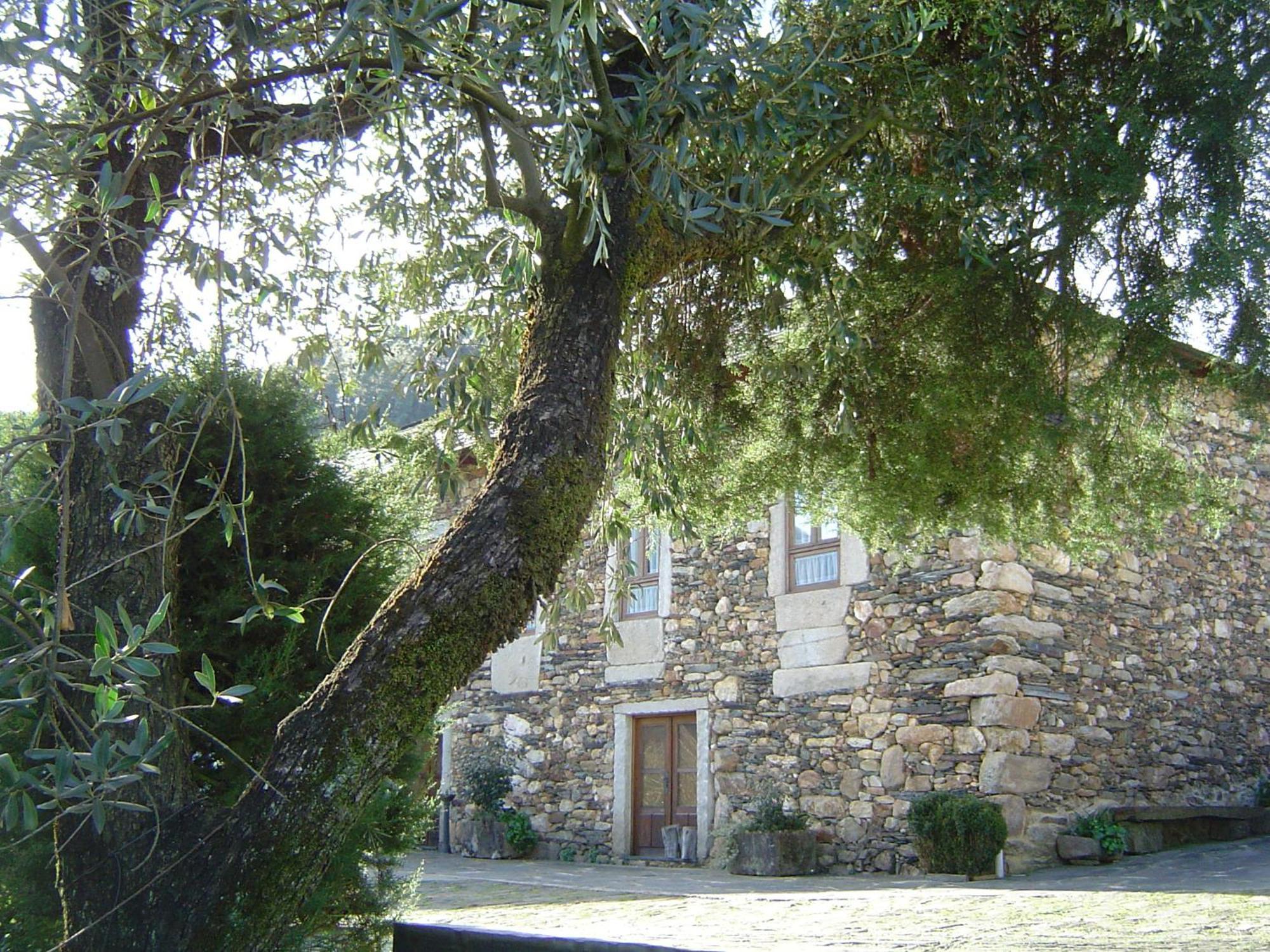 Casa Do Pinto Arouca Exterior foto